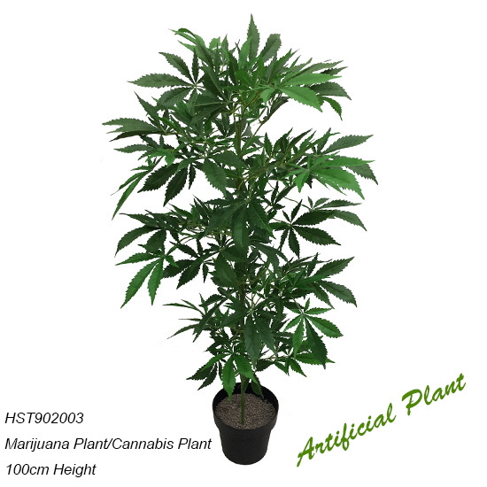 Artificial Marijuana