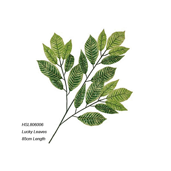 Leaves