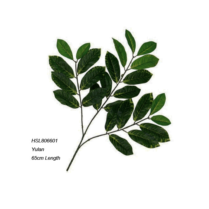 Leaves