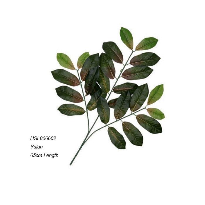 Leaves