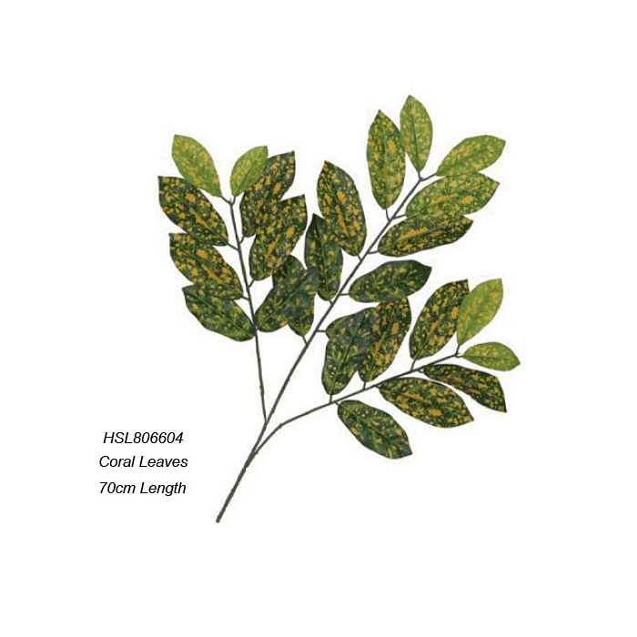 Leaves