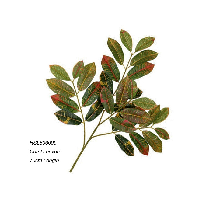 Leaves